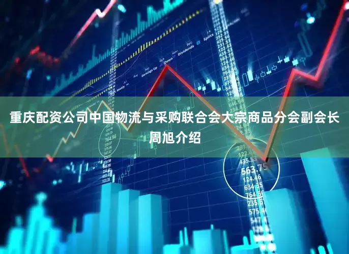 重庆配资公司　　中国物流与采购联合会大宗商品分会副会长周旭介绍