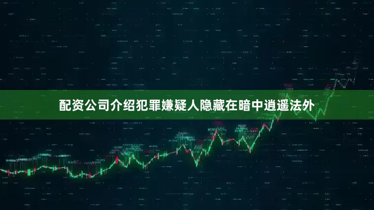 配资公司介绍犯罪嫌疑人隐藏在暗中逍遥法外