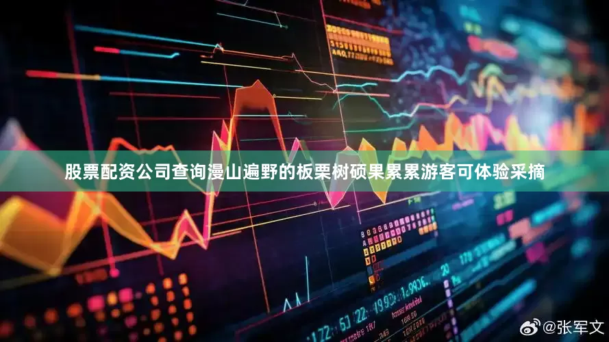 股票配资公司查询漫山遍野的板栗树硕果累累游客可体验采摘
