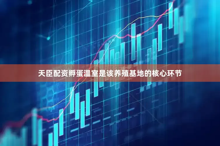 天臣配资孵蛋温室是该养殖基地的核心环节